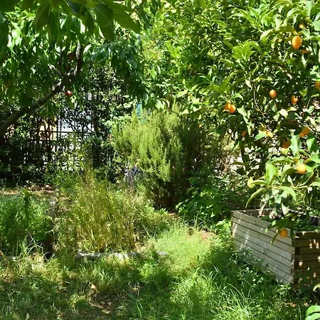 Claudia - 1 Minute Walk To Villa Porto Venere