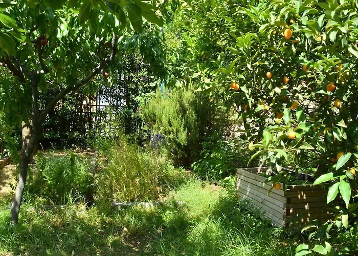 Claudia - 1 Minute Walk To Villa Porto Venere